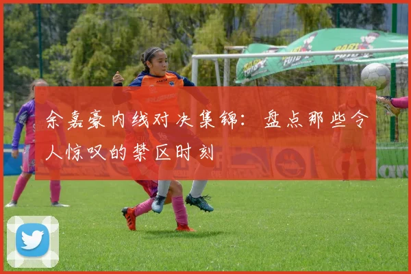 余嘉豪内线对决集锦：盘点那些令人惊叹的禁区时刻
