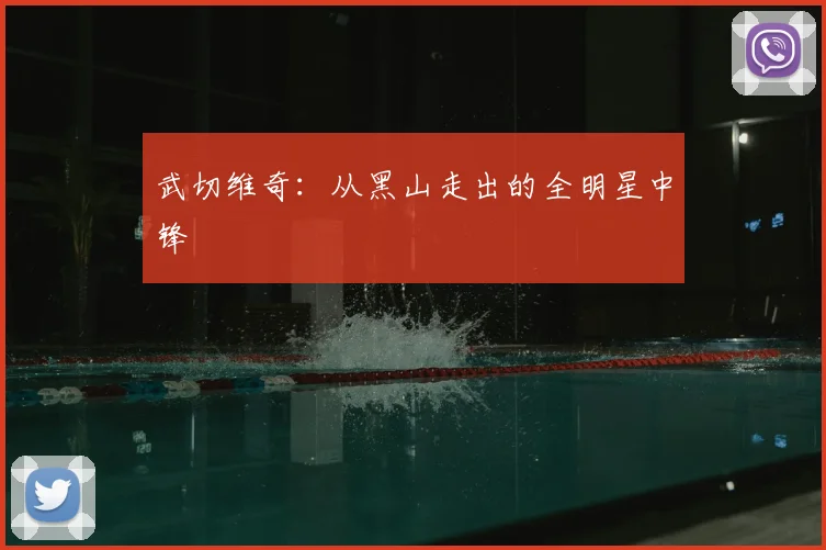 武切维奇：从黑山走出的全明星中锋