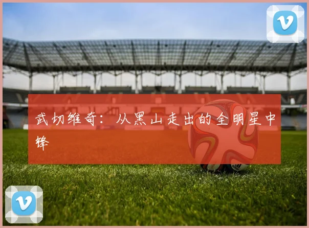 武切维奇：从黑山走出的全明星中锋